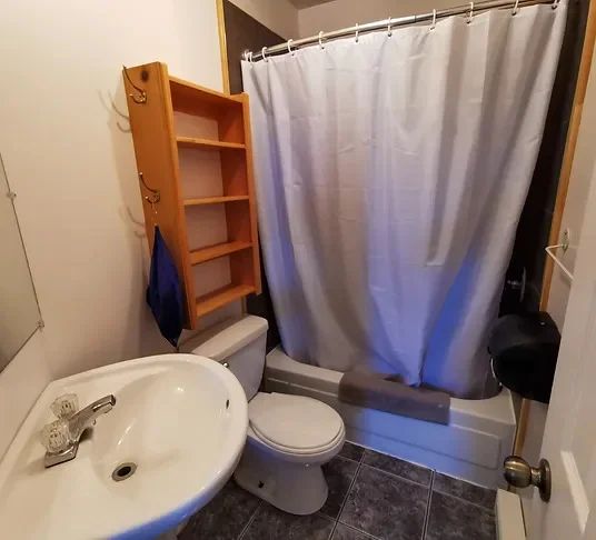 This cabin bathroom features a toilet, a sink, and a bathtub-shower combination.
