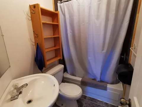 This cabin bathroom features a toilet, a sink, and a bathtub-shower combination.