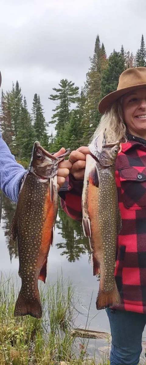 Fishing Brook trout at Pourvoirie Club Hosanna, Mauricie, Quebec — photo 2
