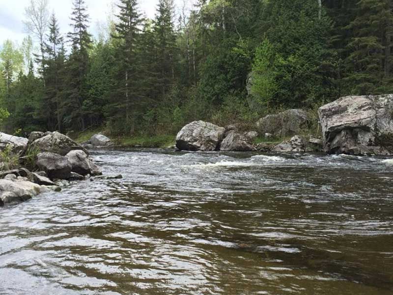 River Lavigne – Pourvoirie Coin Lavigne