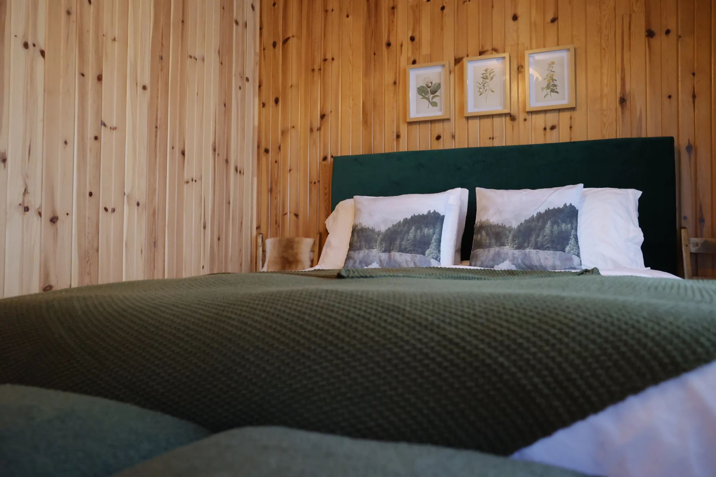Lodge Forest Inn — Pourvoirie Damville – Pourvoirie Damville