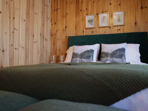 The Boréale room features a cozy bed with a green headboard and natural wood walls.