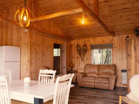 View of the main living area featuring a lounge, dining space, and wood-paneled walls.