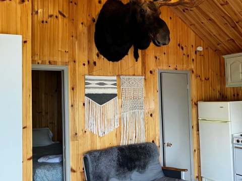 The living area of the Grand Duc chalet features wood-paneled walls and rustic decor.