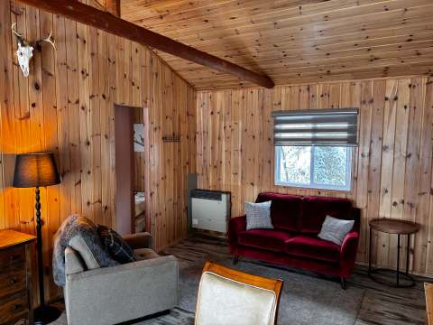 The living room of the Petite Nyctale cottage offers a cozy atmosphere with its natural wood walls.