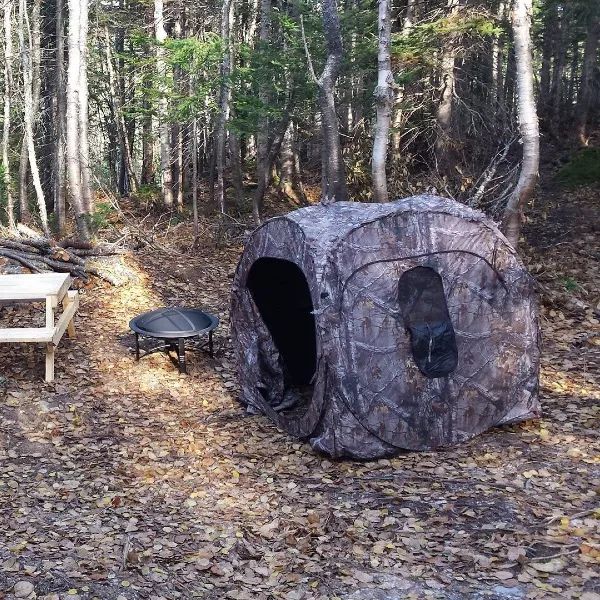 A camouflage tent set up on a rustic forest campsite.