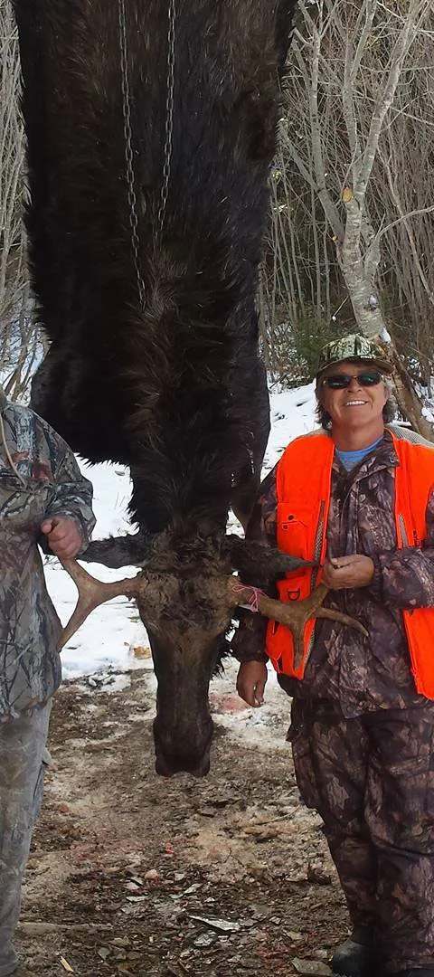 Hunters proud of their moose harvest at Pourvoirie de la Gaspésie, Gaspésie et Îles-de-la-Madeleine, Quebec
