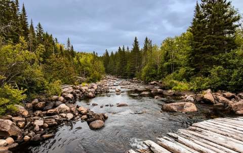 Photo of Pourvoirie de la Truite Rouge in Côte-Nord, QC