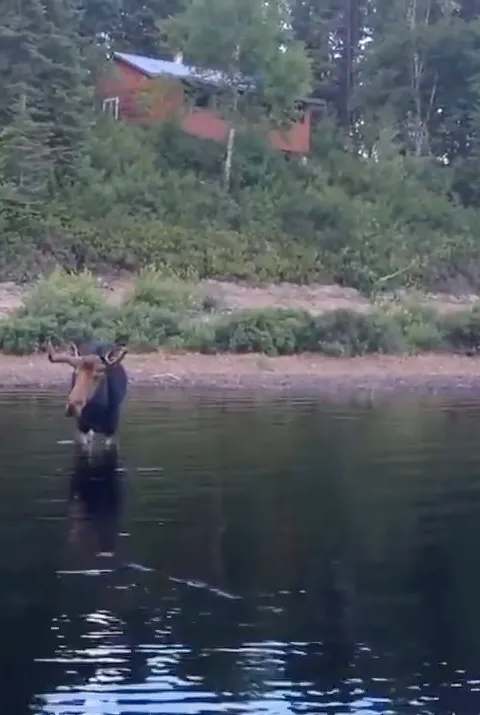 Pêcheur présentant une belle prise sur le lac chez Pourvoirie des 100 Lacs Sud, Laurentides, Québec
