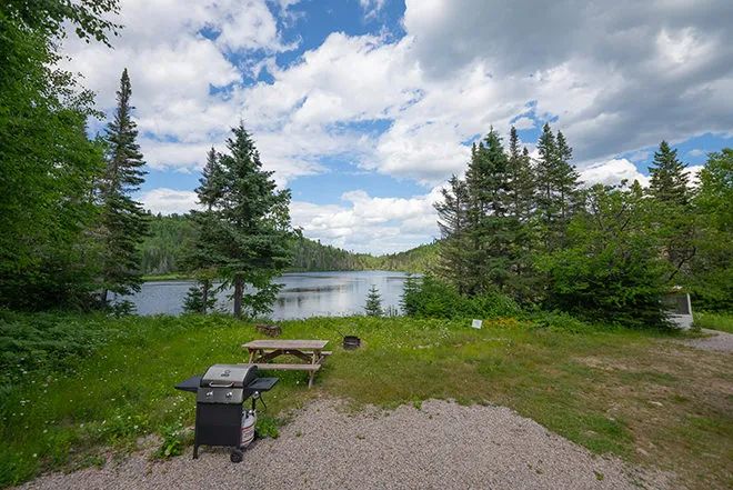 Le terrain extérieur du chalet propose une table de pique-nique et un barbecue avec vue sur le lac.