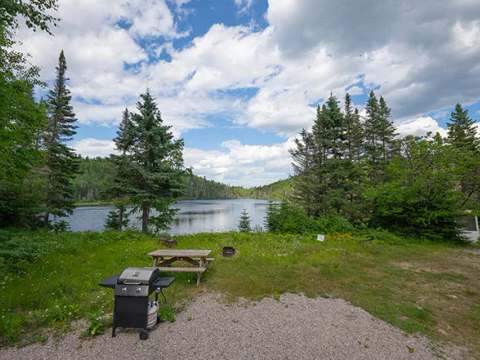 Le terrain extérieur du chalet propose une table de pique-nique et un barbecue avec vue sur le lac.