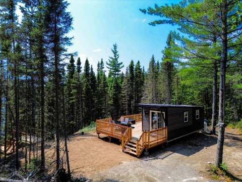 Le chalet 10 dispose d'une grande terrasse en bois entourée par la forêt.