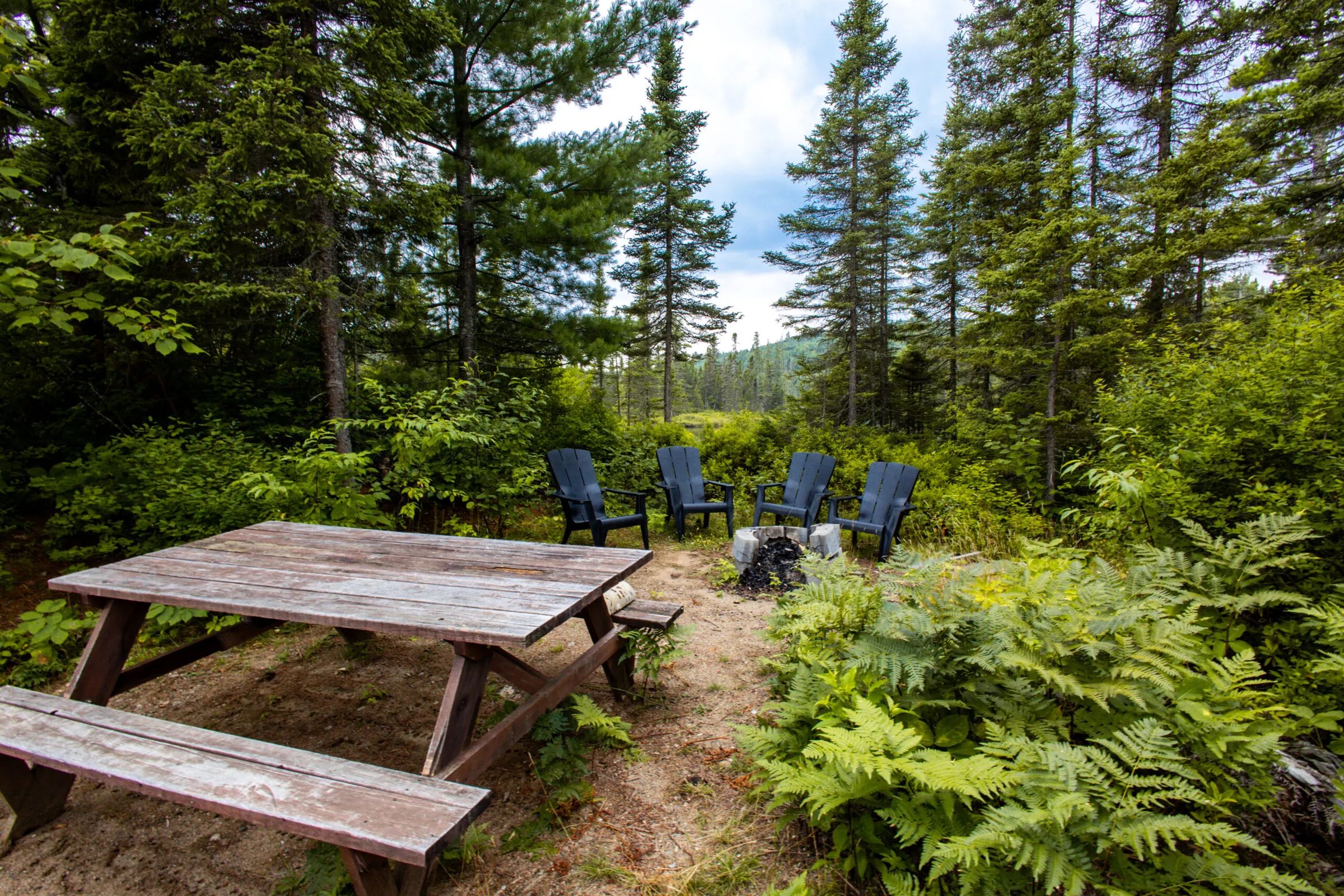 Une aire de pique-nique avec table et foyer extérieur est aménagée près du chalet.