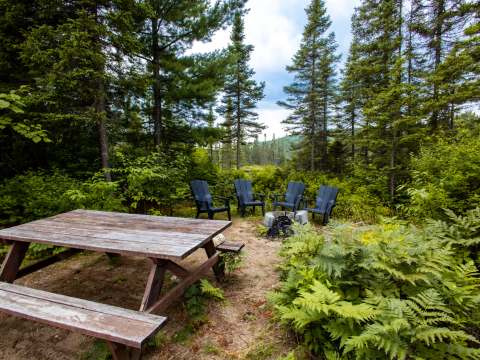 Une aire de pique-nique avec table et foyer extérieur est aménagée près du chalet.