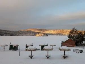 Cottage 01 – Cottage 01