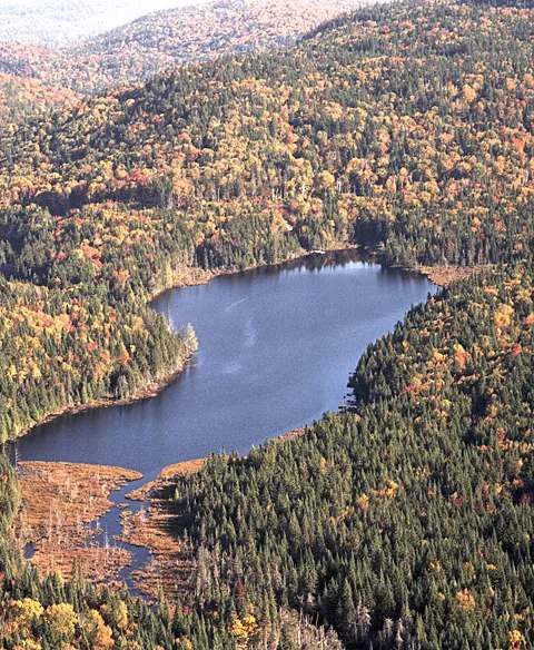 Lac Vandré, one of the outfitter's bodies of water at Pourvoirie Domaine Bazinet, Lanaudière, Quebec