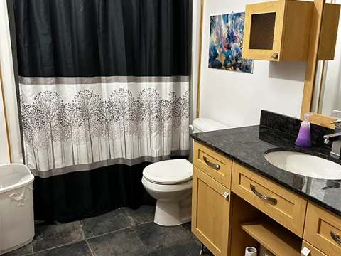 The bathroom at Le Grizzly cabin features a shower with a curtain and a vanity with a sink.