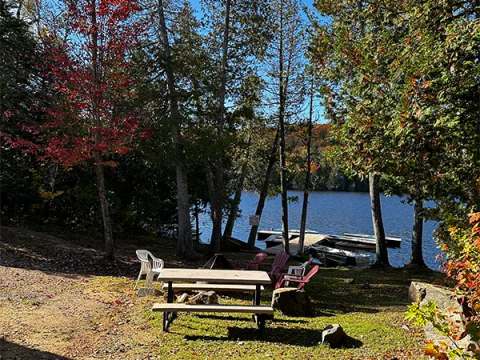 A picnic table and chairs are set up near the cabin with a view of the dock and the lake.