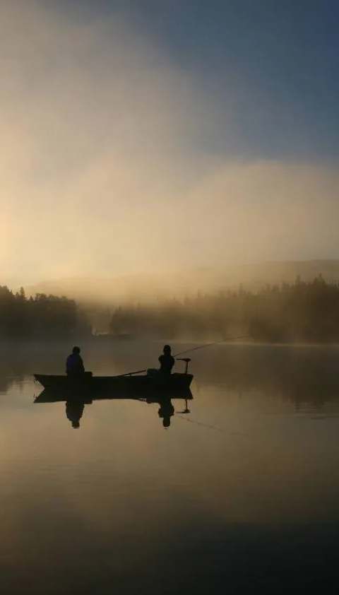 A beautiful catch of wild brook trout. at Pourvoirie du Club Bataram, Charlevoix, Quebec