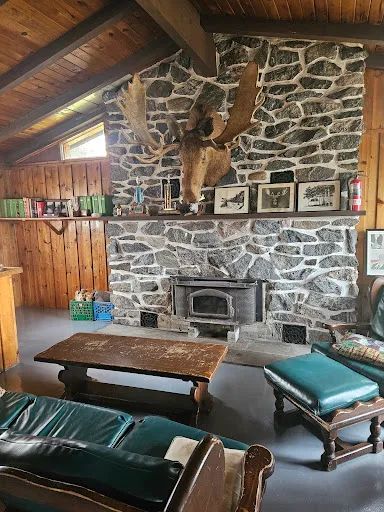 Le salon du chalet dispose d'un foyer en pierre et d'un décor rustique.