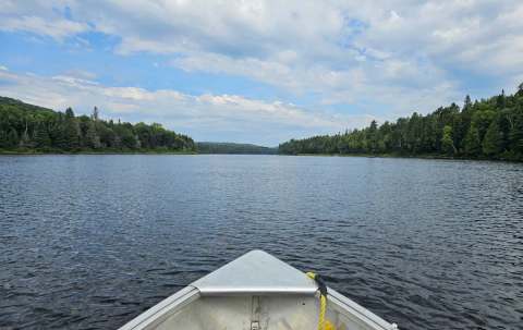 Photo of Pourvoirie du Club Gatineau in Laurentides, QC
