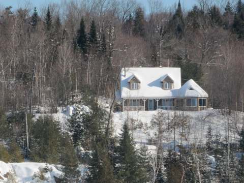 This cottage is located in the heart of nature, surrounded by a snow-covered forest.
