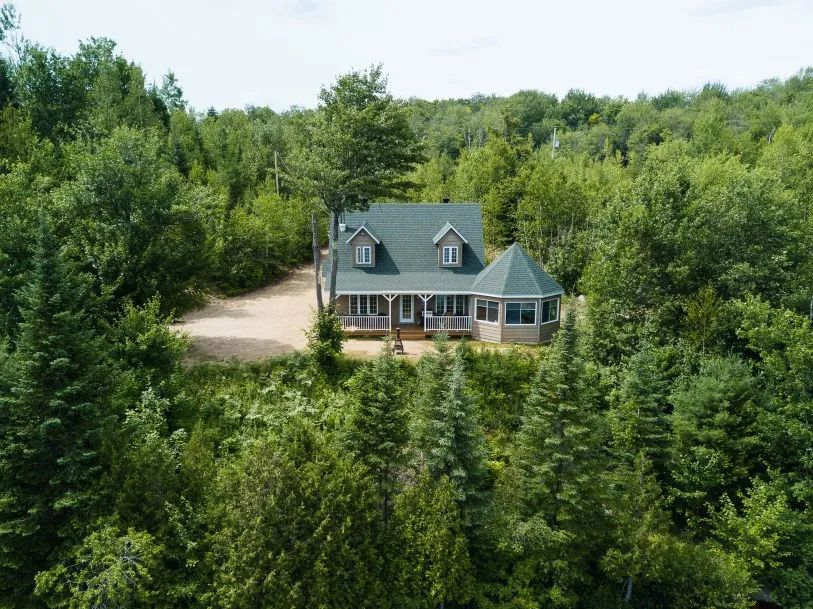 Aerial view of a secluded cabin surrounded by the dense forest.