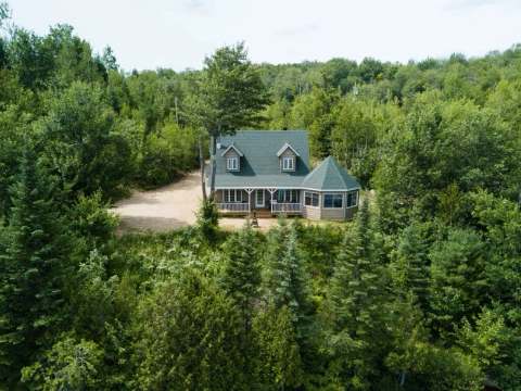 Aerial view of a secluded cabin surrounded by the dense forest.