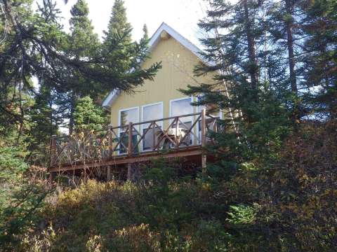 Le Chalet de l'Ours avec sa terrasse en bois entouré par la forêt.