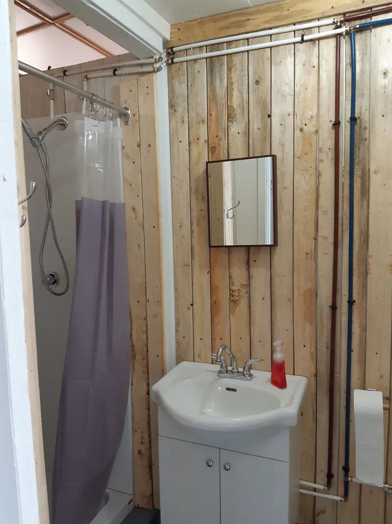 View of the functional bathroom with shower and sink inside the cabin.