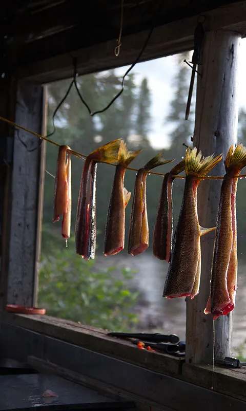 Fishing memories on Lac Lacroix at Pourvoirie du Lac Lacroix, Mauricie, Quebec