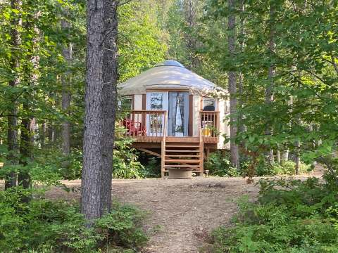 Une yourte avec galerie privée est installée dans un environnement boisé.