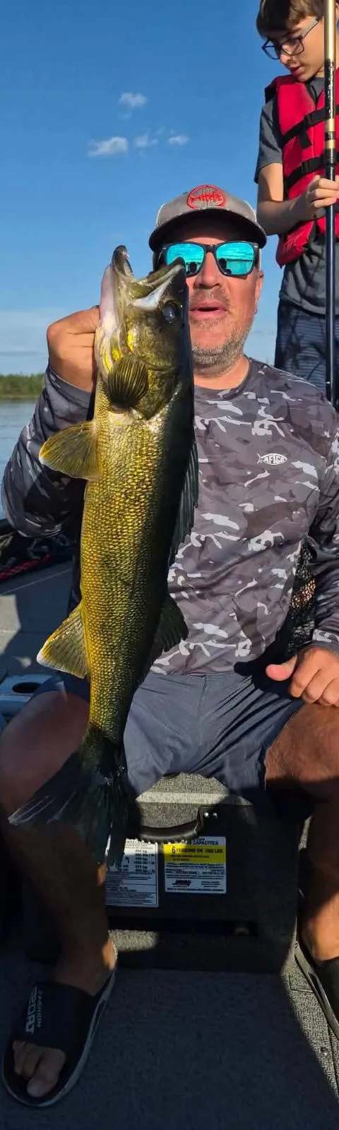 Pêche Doré chez Pourvoirie du Lac Matchi-Manitou, Abitibi-Témiscamingue, Québec — photo 3