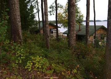 Our rustic log cabins are nestled in the forest with a view of the lake.