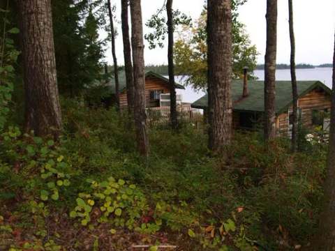 View of the log cabins located by the lake in the middle of the forest.