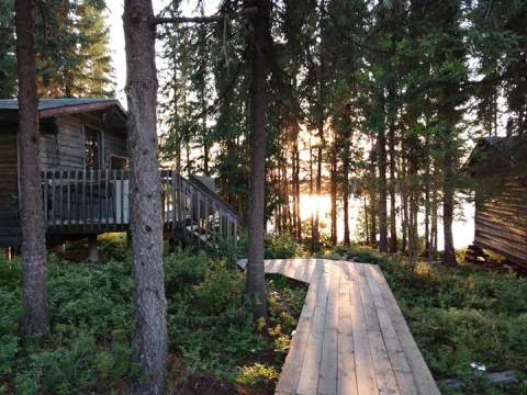 A wooden walkway leads to the rustic cabins surrounded by the forest near the lake.