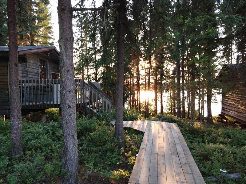 A wooden path leads to the rustic cabins situated at the edge of the forest at sunset.