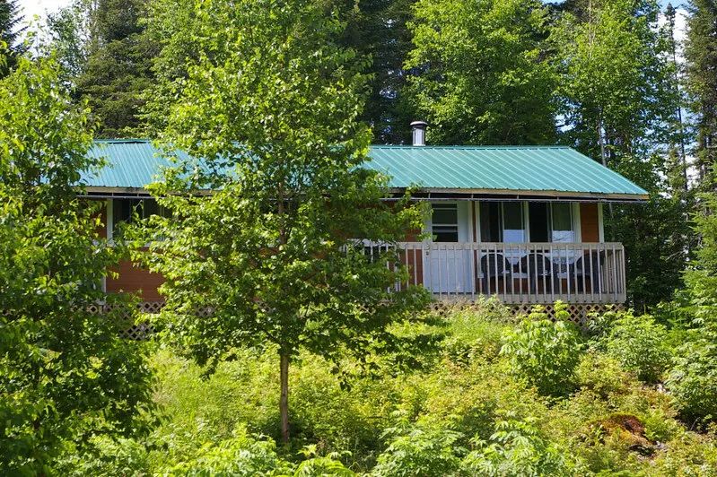 Le chalet L'Épervier avec son toit vert et sa galerie en bois est entouré par la forêt.