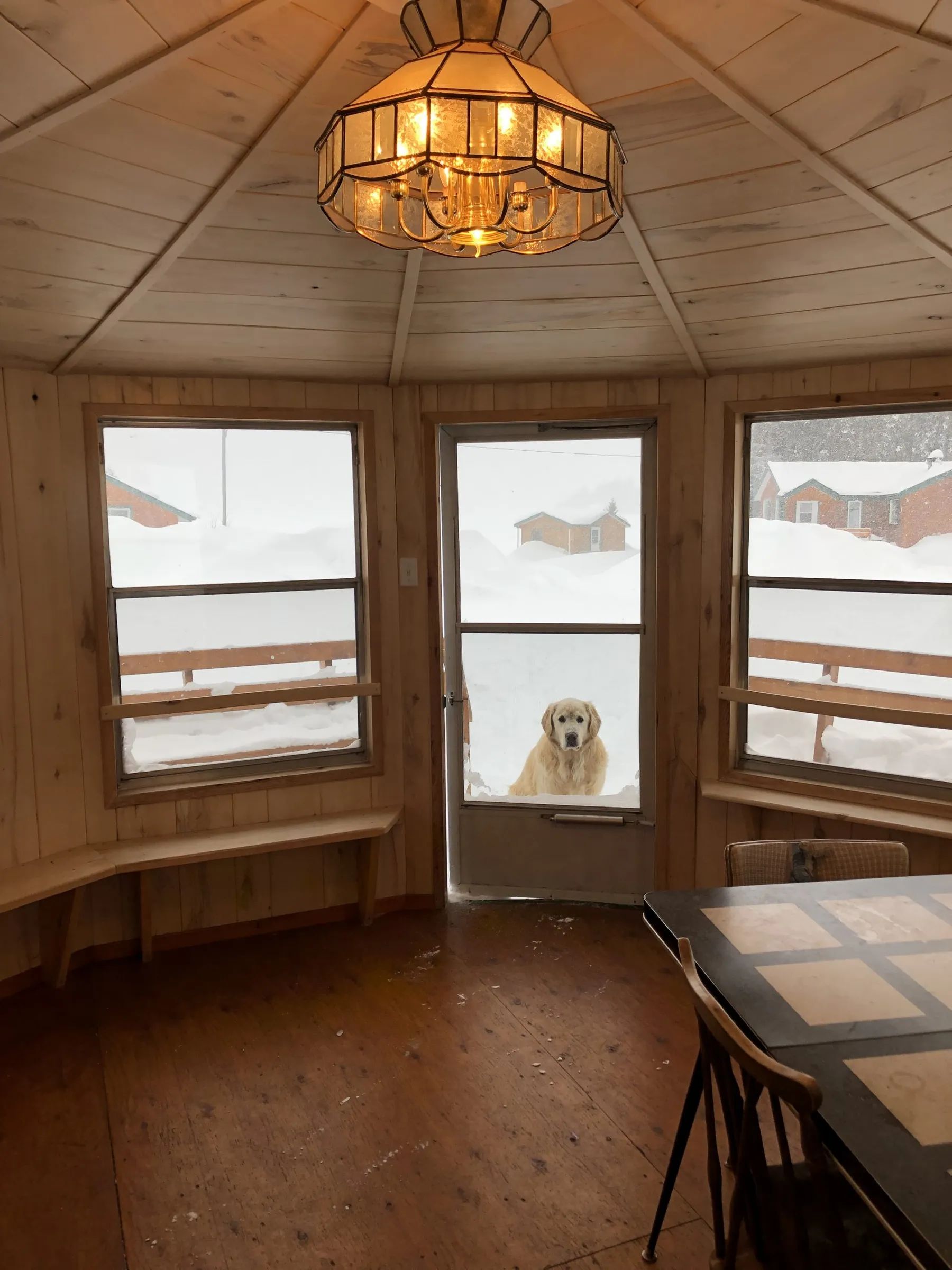Vue intérieure d'un chalet lumineux avec un chien qui attend devant la porte.