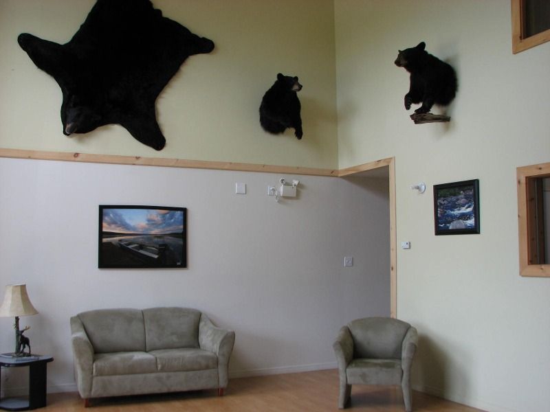 CONDO - THE BEAR SUITE – Pourvoirie Fer à Cheval