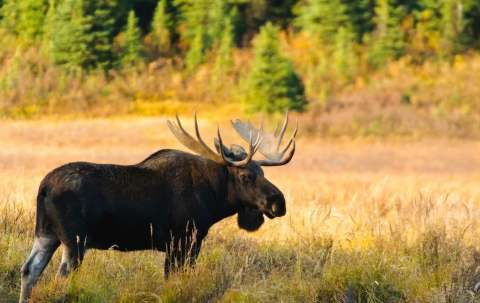 Photo of Pourvoirie Fer à Cheval in Laurentides, QC