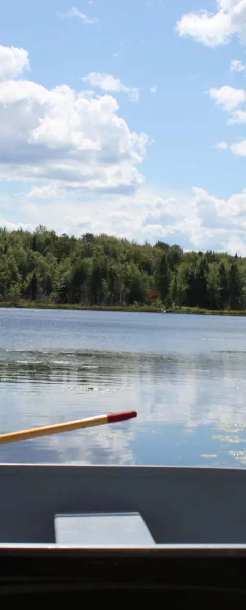 Prises et activités de pêche sur le lac chez Pourvoirie Foresto, Chaudière-Appalaches, Québec