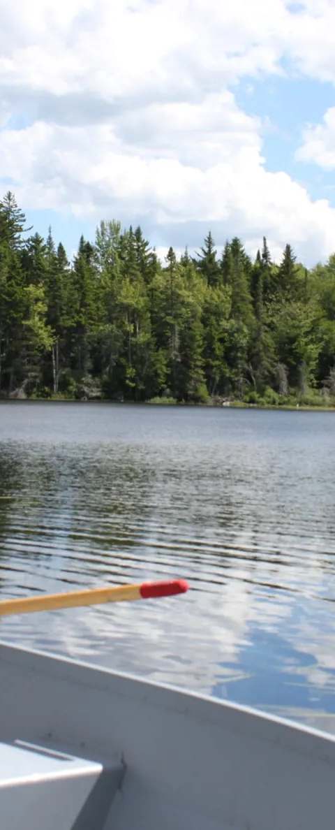 Paysage et lacs de la Pourvoirie Foresto chez Pourvoirie Foresto, Chaudière-Appalaches, Québec