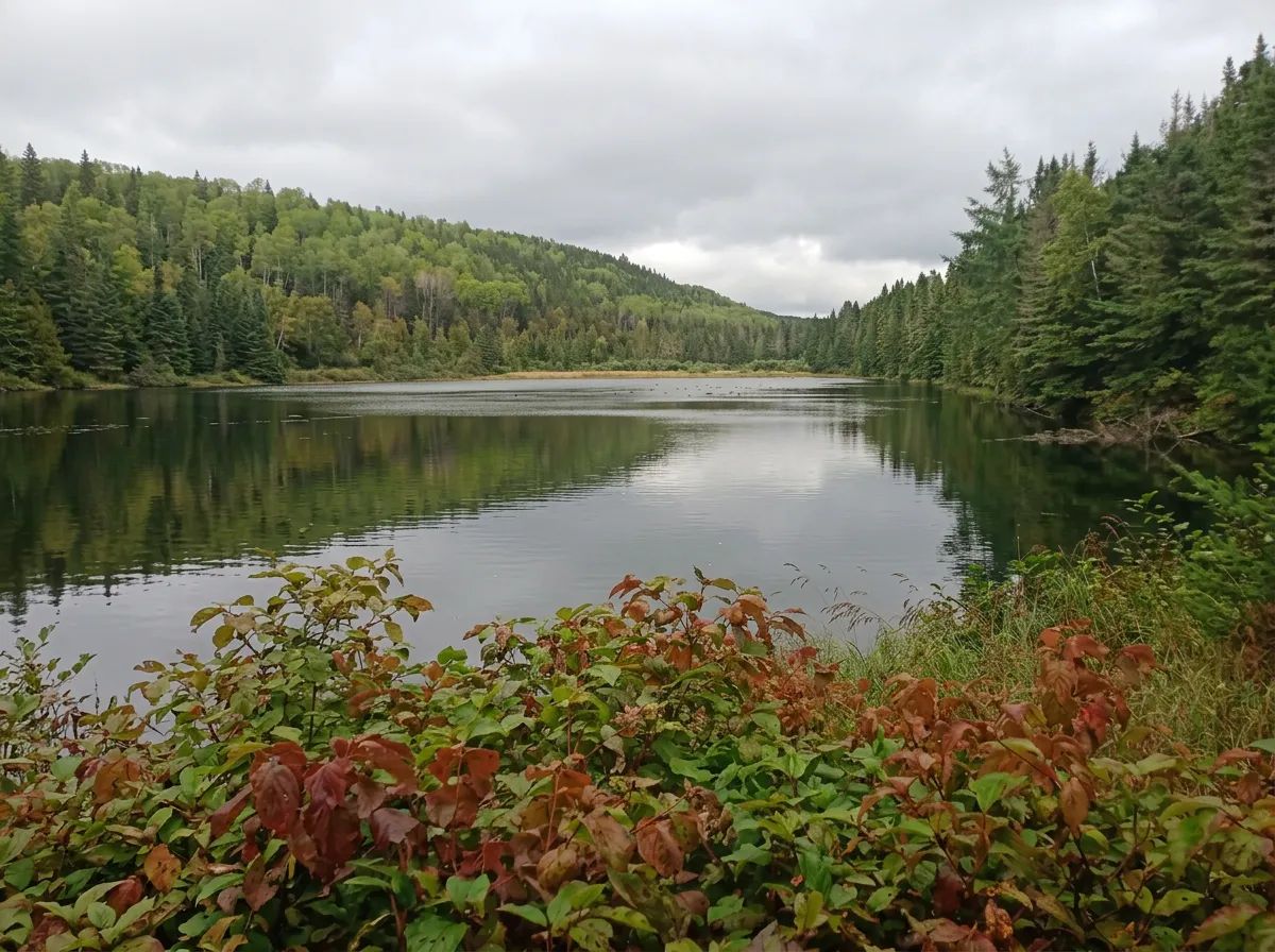 Lodging + Guide Service Package - 2 Days / 3 Nights — Pourvoirie Fournier Plein Air – Pourvoirie Fournier Plein Air