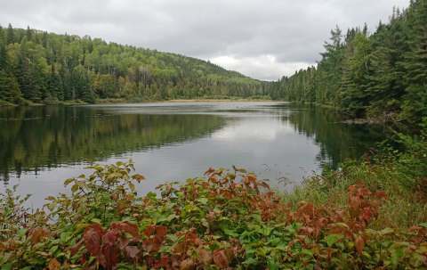 Photo de Pourvoirie Fournier Plein Air en Gaspésie et Îles-de-la-Madeleine, Qc