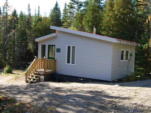 Le chalet Éliane est situé en forêt et dispose d'une petite galerie à l'entrée.