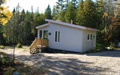 Le chalet Éliane se situe dans un environnement forestier paisible.