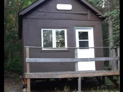 Exterior view of cottage 10, surrounded by the forest.
