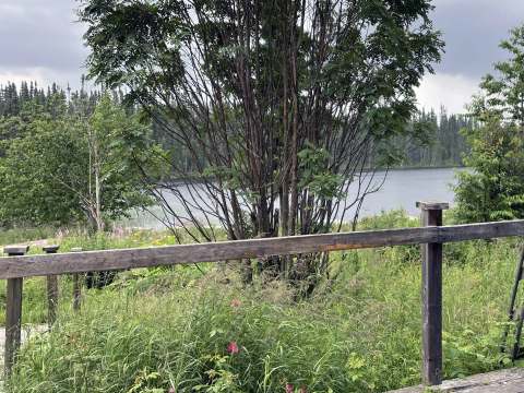 View of the greenery and the lake from the wooden deck of the chalet.