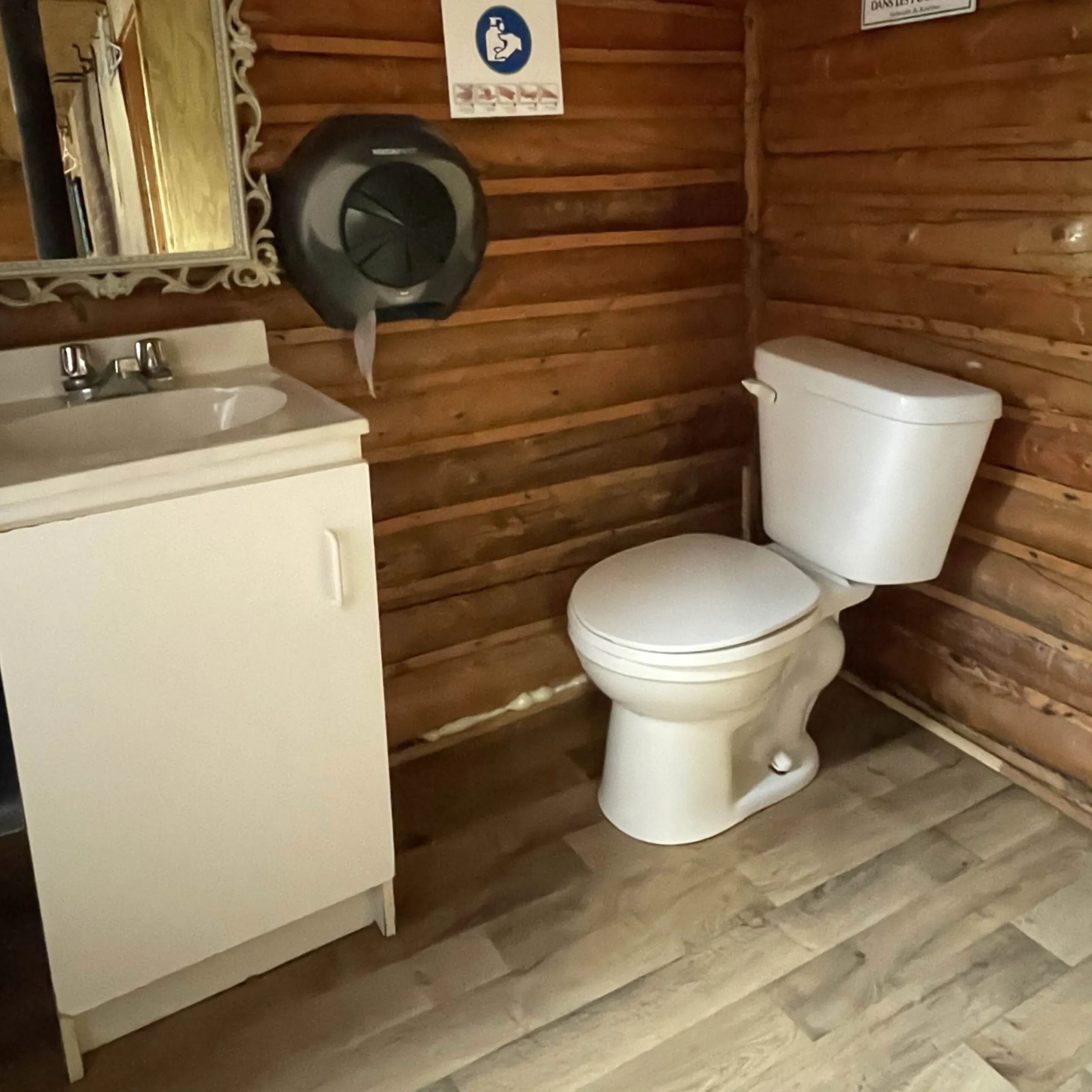 View of the functional bathroom with toilet and sink in the cabin.